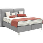 BOXSPRINGBETT 180/200 cm  in Silberfarben  - Silberfarben/Alufarben, KONVENTIONELL, Textil/Metall (180/200cm) - Dieter Knoll