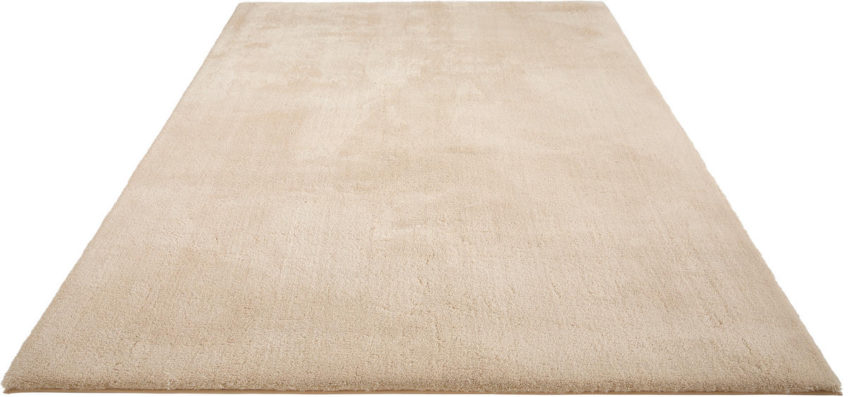 HOCHFLORTEPPICH 200/290 cm Beige rechteckig  - Beige, Design, Textil (200/290cm) - Novel