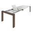 ESSTISCH Kernnussbaum furniert rechteckig Weiß, Nussbaumfarben - Nussbaumfarben/Weiß, Design, Holz (160/100/75cm) - Now by Hülsta ESSTISCH Kernnussbaum furniert rechteckig Weiß, Nussbaumfarben - Nussbaumfarben/Weiß, Design, Holz (160/100/75cm) - Now by Hülsta