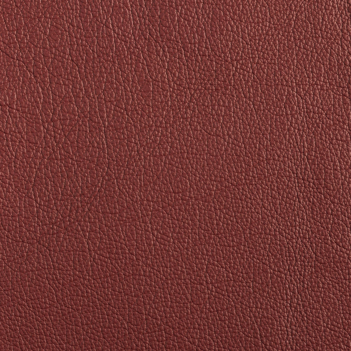3-SITZER-SOFA Echtleder Rot  - Eichefarben/Rot, LIFESTYLE, Leder/Holz (205/95/95cm) - Max Winzer