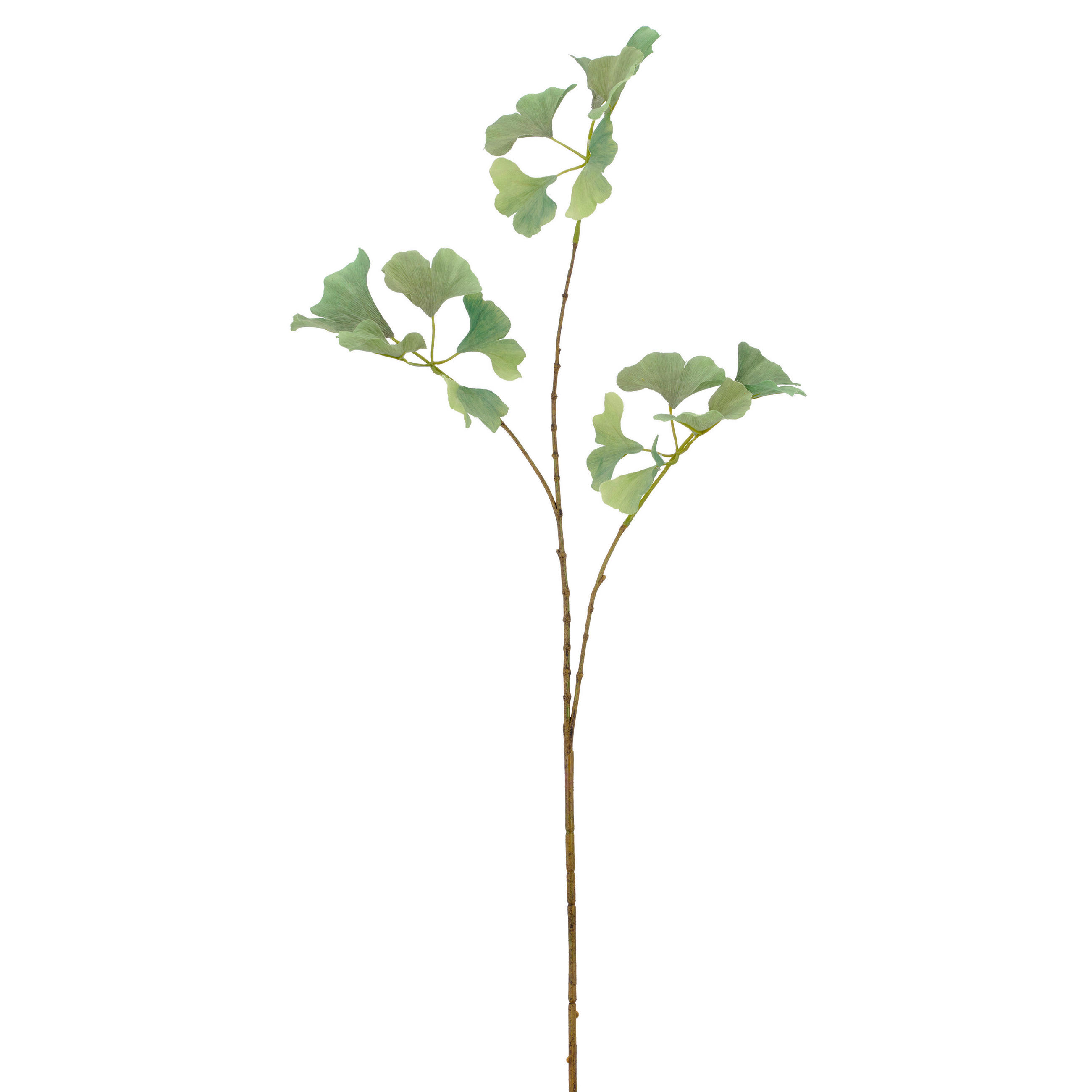Kunstpflanze Gingkozweig