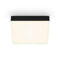 STROPNÍ LED SVÍTIDLO, 15,7/15,7/3,6 cm - černá, Basics, plast (15,7/15,7/3,6cm)