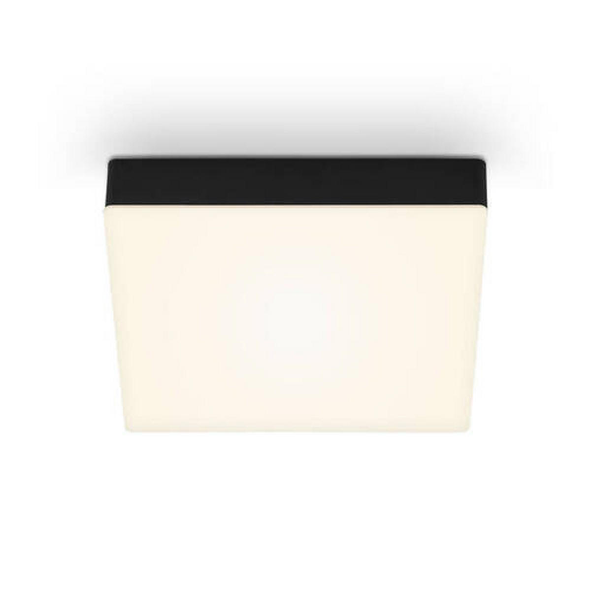 STROPNÍ LED SVÍTIDLO, 15,7/15,7/3,6 cm - černá, Basics, plast (15,7/15,7/3,6cm)