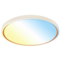 STROPNA LED-SVETILKA  INO /5200 lm/3000-6500 K// - svetlo rjava/svetlo siva, Basics, kovina/umetna masa (49,5/6,5cm)