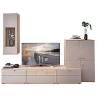 WOHNWAND  in Grau, Buchefarben  285/215/53 cm  - Silberfarben/Buchefarben, KONVENTIONELL, Glas/Holzwerkstoff (285/215/53cm) - Venda