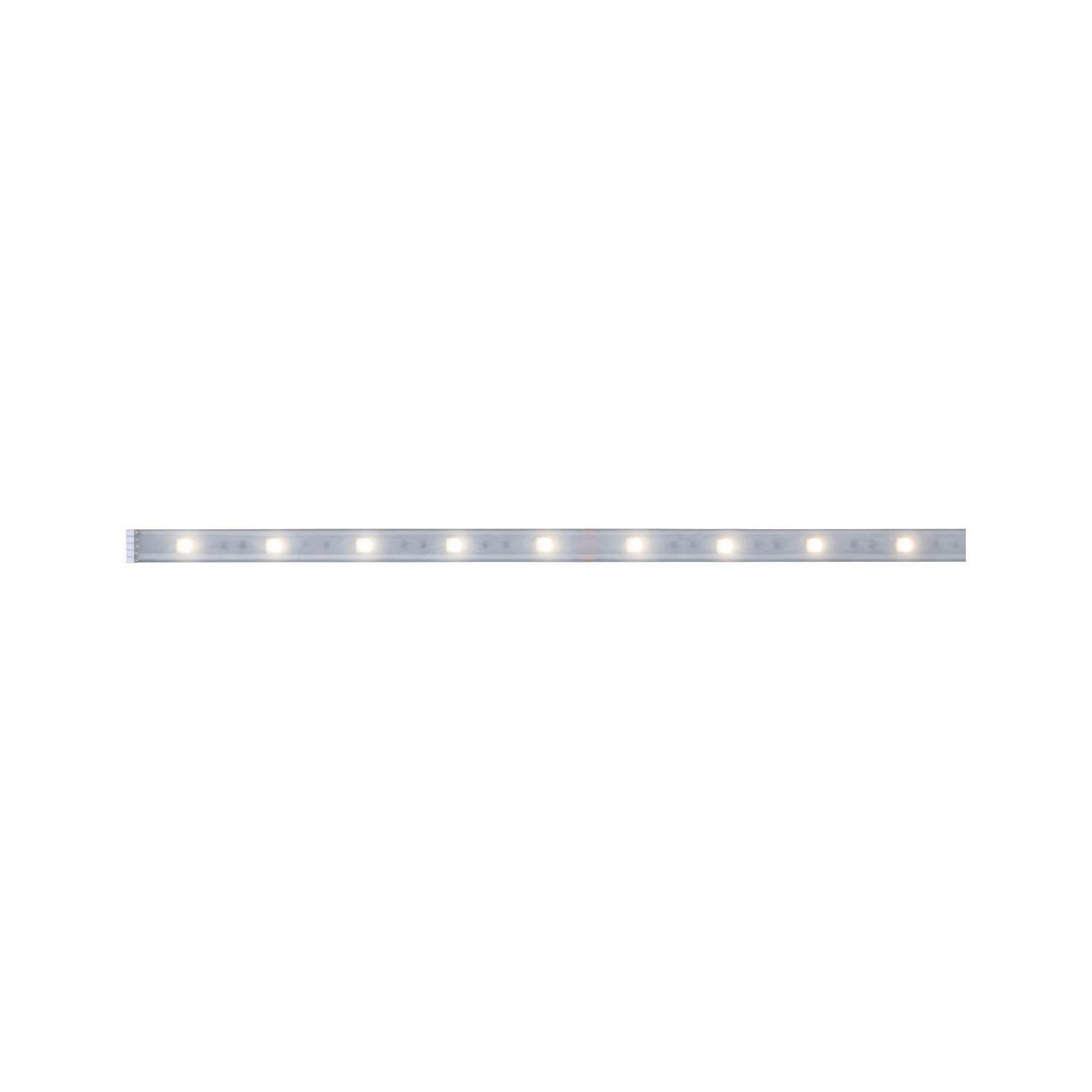 LED-STRIP   - Silberfarben, Basics, Kunststoff (100cm) - Paulmann