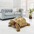 DEKOSCHILDKRÖTE - Goldfarben, Basics, Kunststoff (95/77/43cm) - Ambia Home