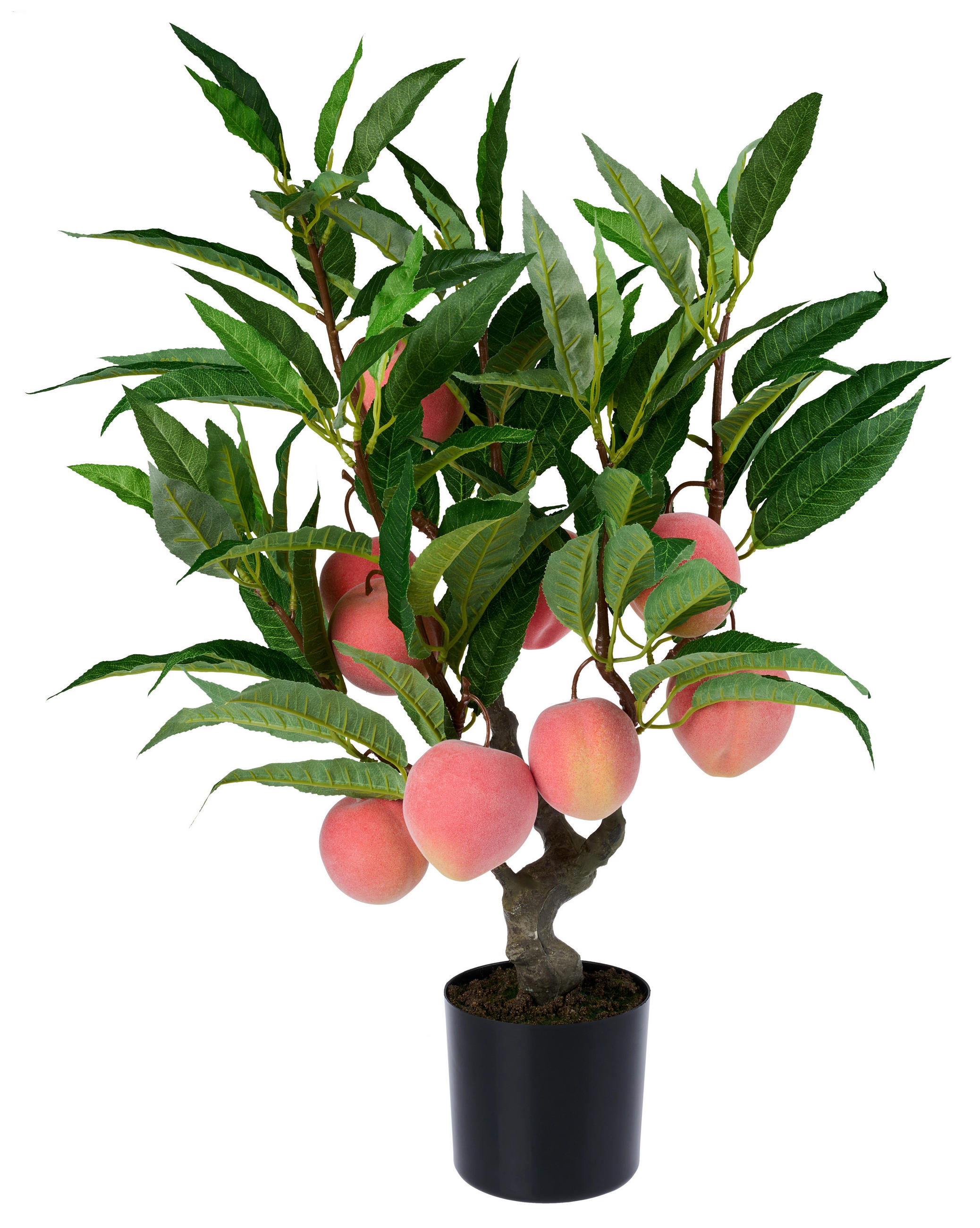 KUNSTPFLANZE Pfirsich 71 cm  - Smaragdgrün/Hellrot, Trend, Kunststoff (71cm) - Ambia Home