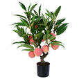 KUNSTPFLANZE Pfirsich 71 cm  - Smaragdgrün/Hellrot, Trend, Kunststoff (71cm) - Ambia Home