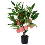 KUNSTPFLANZE Pfirsich 71 cm  - Smaragdgrün/Hellrot, Trend, Kunststoff (71cm) - Ambia Home