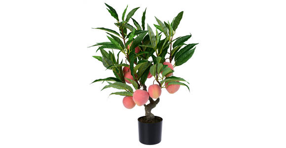 KUNSTPFLANZE Pfirsich 71 cm  - Smaragdgrün/Hellrot, Trend, Kunststoff (71cm) - Ambia Home