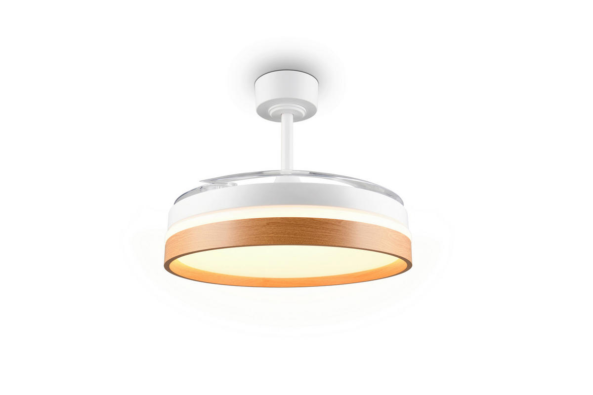 DECKENVENTILATOR - Klar/Braun, Design, Kunststoff/Metall (106/42cm)