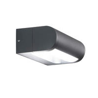 SPOLJNA ZIDNA SVETILJKA Wild  - tamnosiva/bela, Osnovno, metal/plastika (17.5/11/6cm)