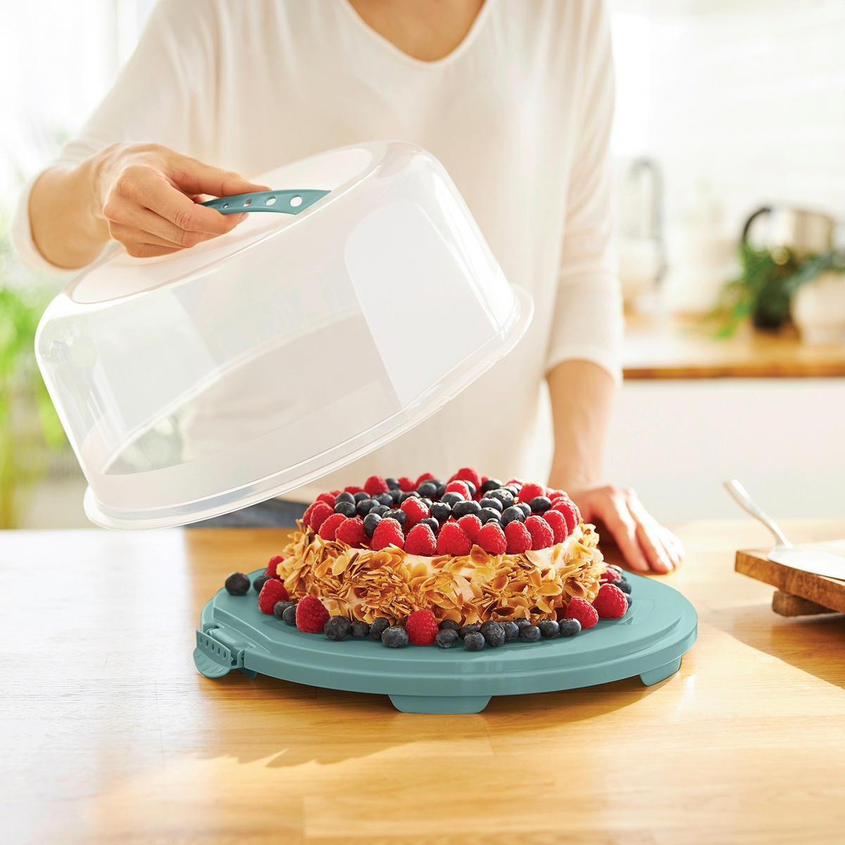 TORTENGLOCKE 35,5/34,5/16,5 cm  - Transparent/Grün, Basics, Kunststoff (35,5/34,5/16,5cm) - Rotho