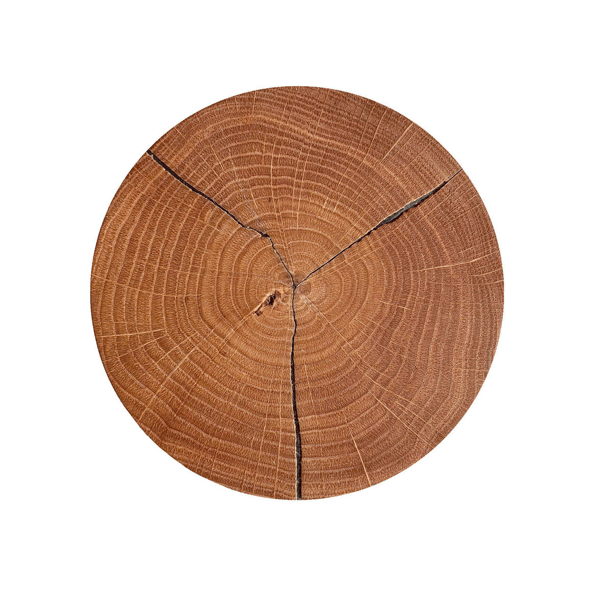 LED-WANDLEUCHTE 19/10 cm   - Eichefarben, Natur, Holz (19/10cm) - Waldwelt
