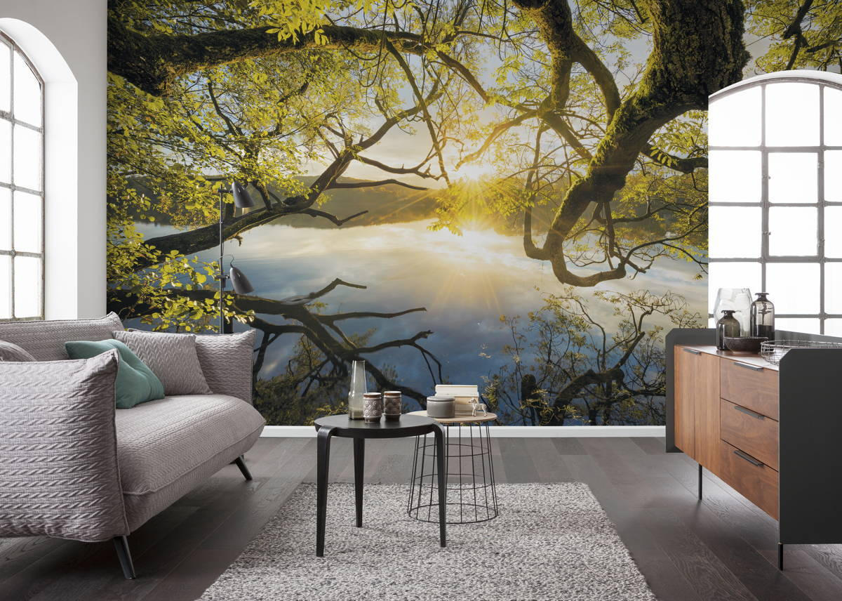 VLIESTAPETE  - Natur (400/250cm) - Komar