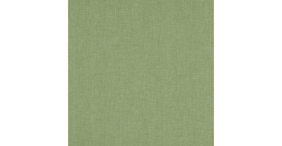 FERTIGVORHANG blickdicht - Grün, Basics, Textil (140/245cm) - Boxxx