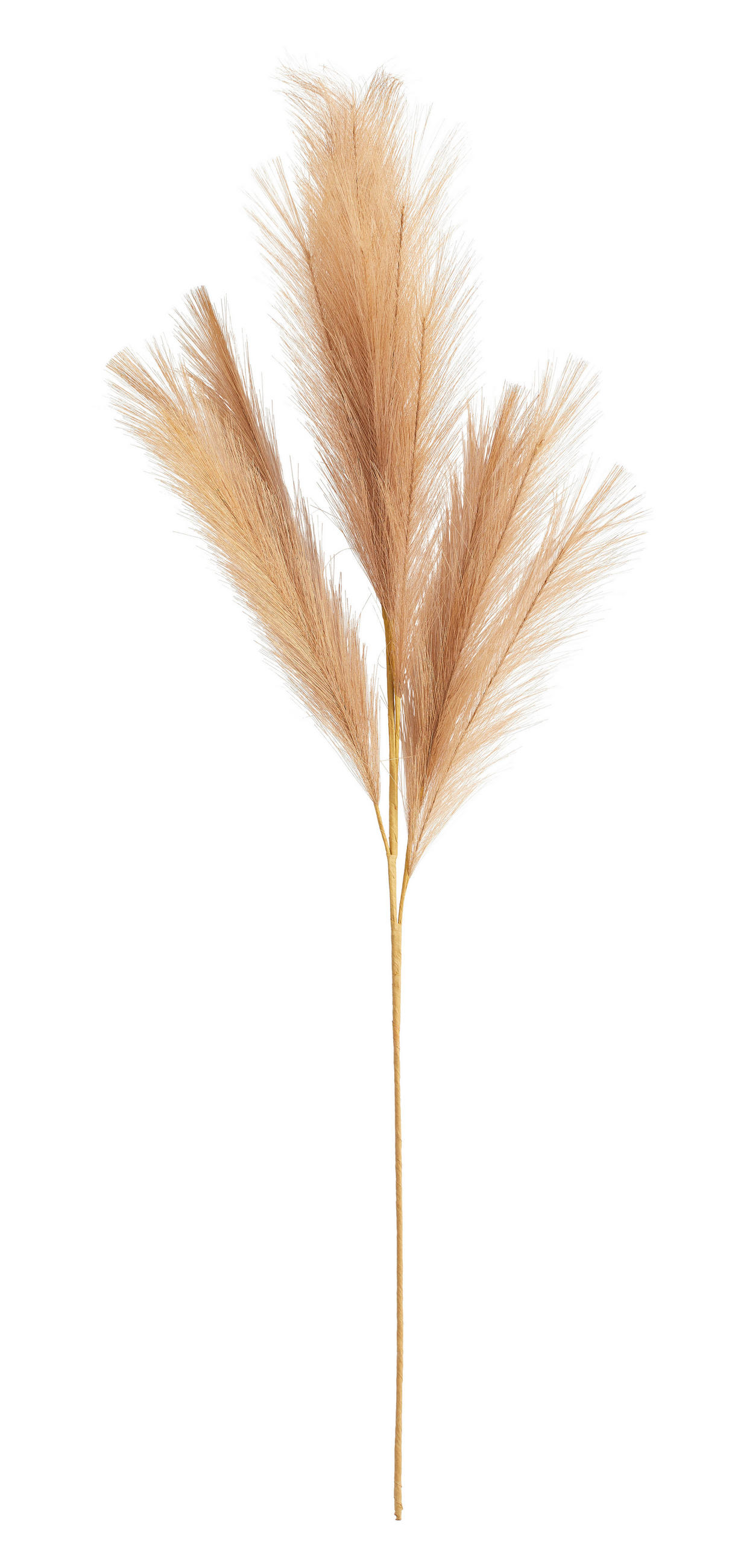 KUNSTPFLANZE Pampasgras  - Braun/Weiß, Basics (110cm)