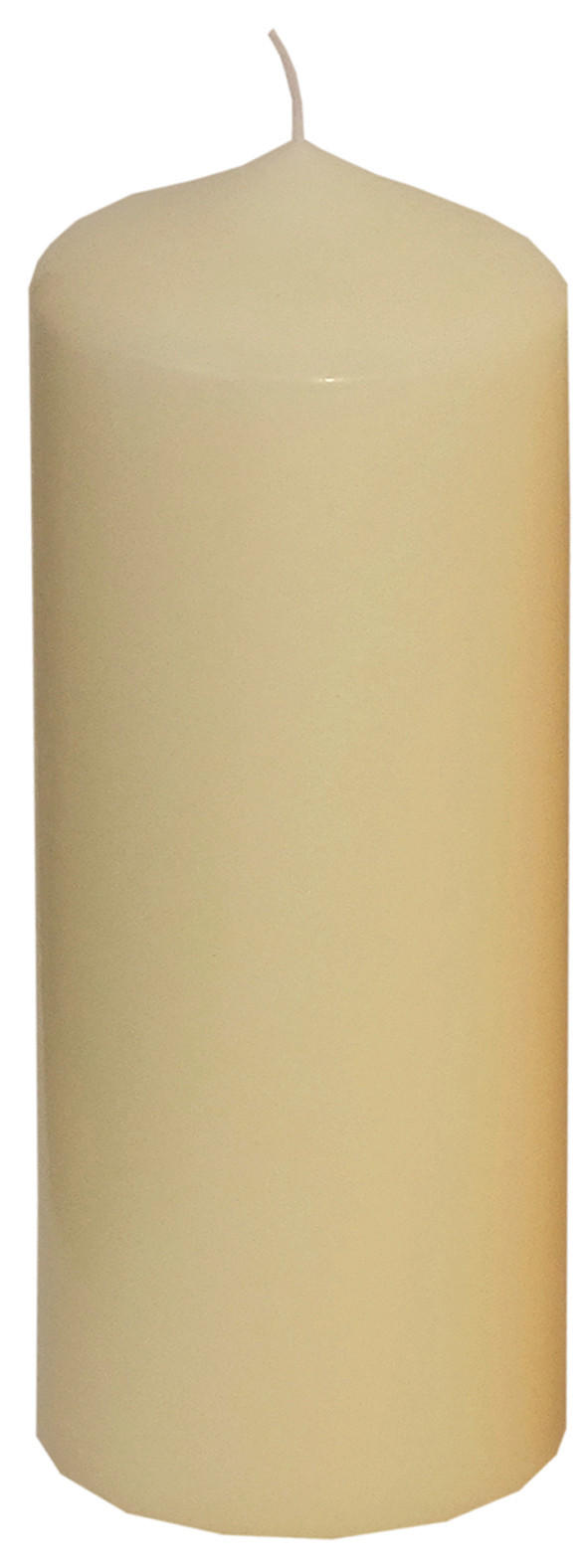 STUMPENKERZE 7,7/20 cm  - Champagner, Basics (7,7/20cm) - Steinhart