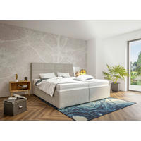 ČALÚNENÁ POSTEĽ, 180/200 cm, sivá - sivá/chrómová, Basics, drevo/textil (180/200cm) - Blanar