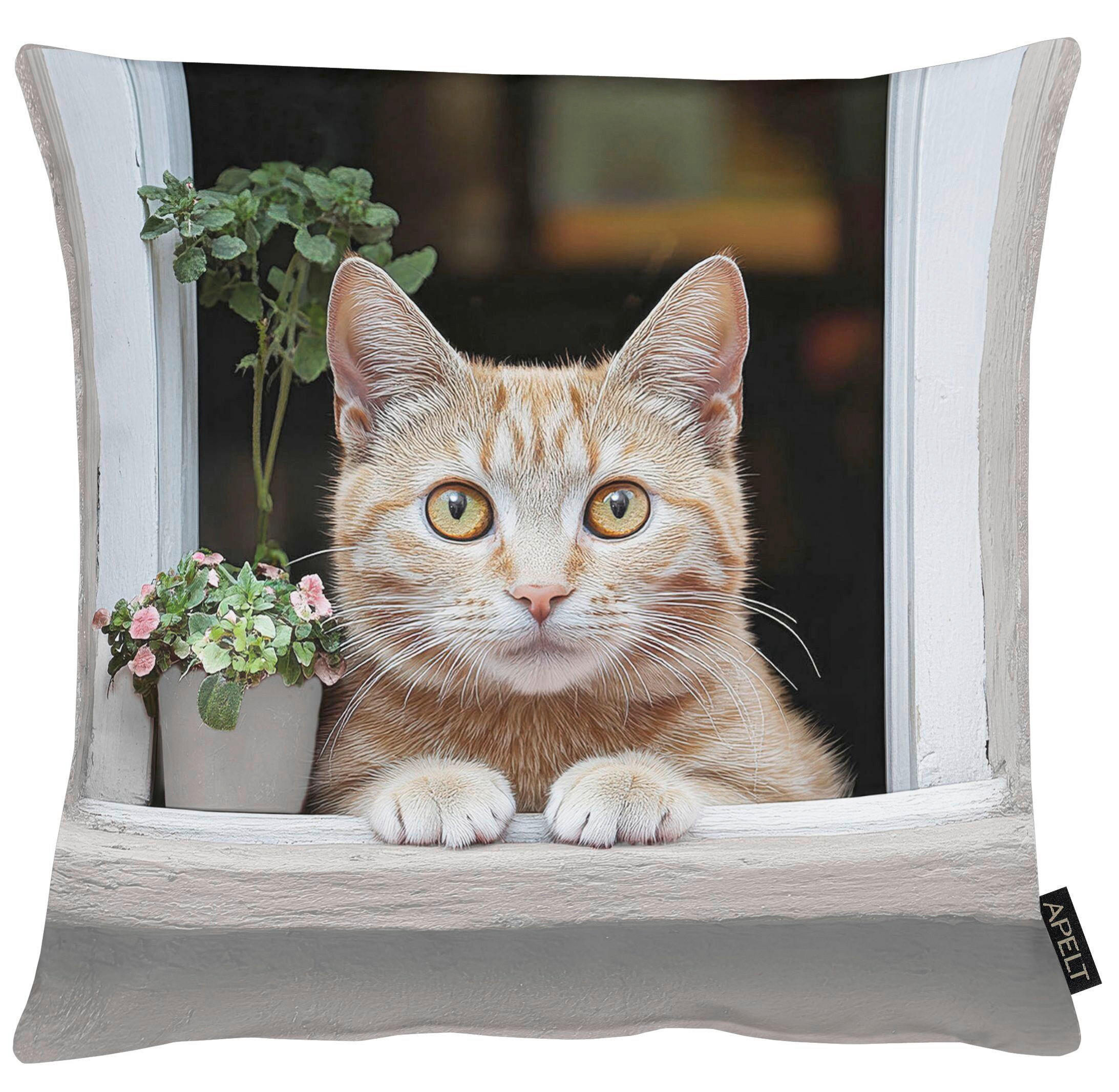 ZIERKISSEN  45/45 cm   - Hellgrau, Basics, Textil (45/45cm) - Apelt