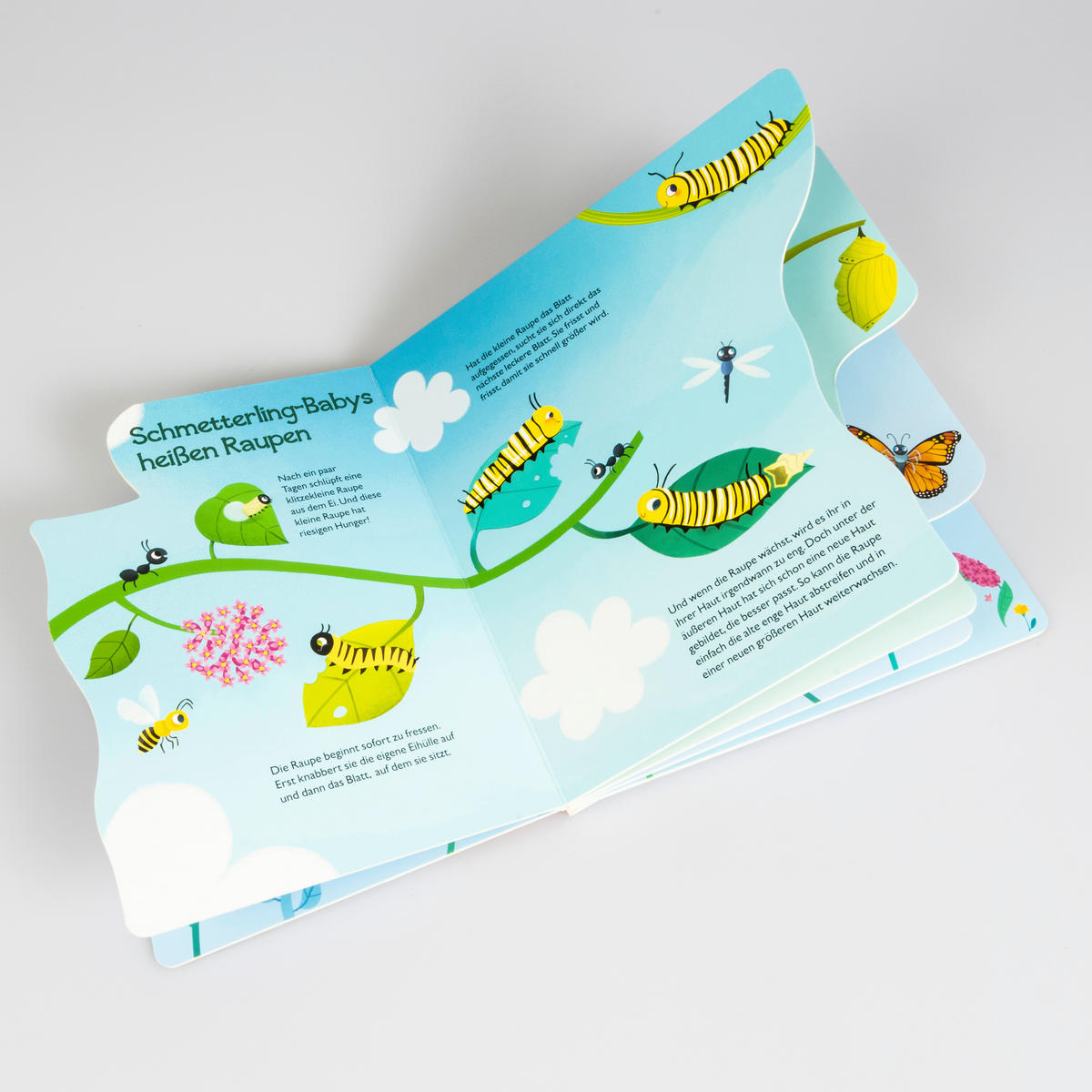 BUCH - Multicolor, Basics, Papier (22/22/1,2cm) - Carlsen