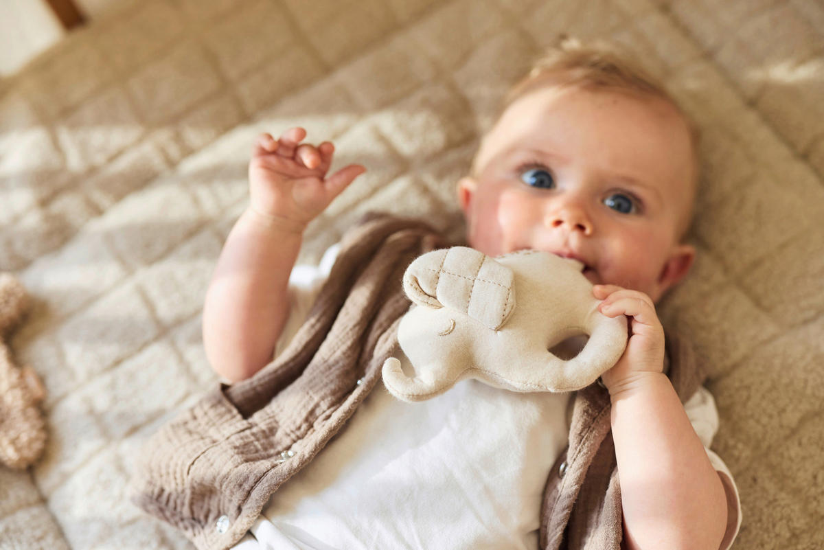 ZVEČKA  Elephant Tales  - višebojno, Basics, tekstil (15/3/10cm) - JOLLEIN