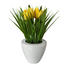 KUNSTBLUME Tulpe - Gelb/Grün, Trend, Kunststoff (26cm) KUNSTBLUME Tulpe - Gelb/Grün, Trend, Kunststoff (26cm)