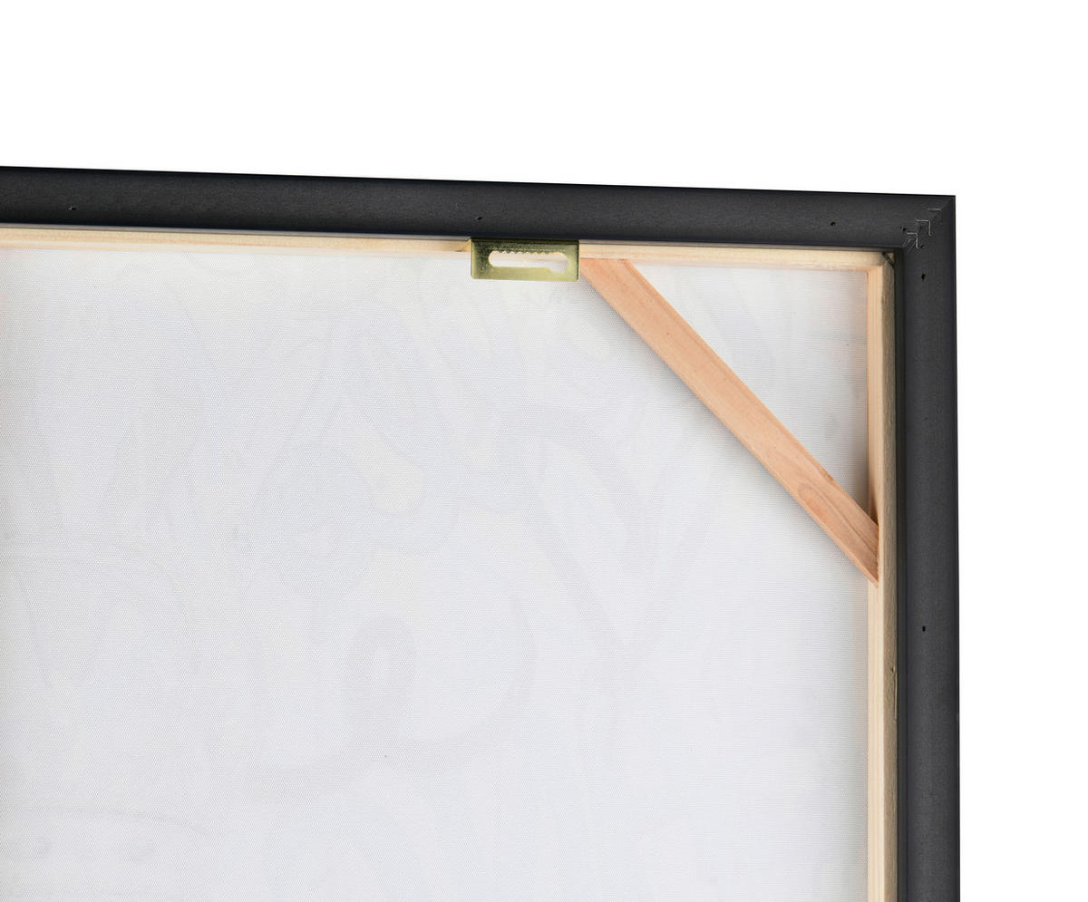 BILD Tiere Multicolor  - Multicolor/Schwarz, Design, Kunststoff (82/122/4cm)