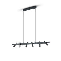 LED-HÄNGELEUCHTE 120/9/210 cm  - Schwarz, Design, Metall (120/9/210cm) - Helestra