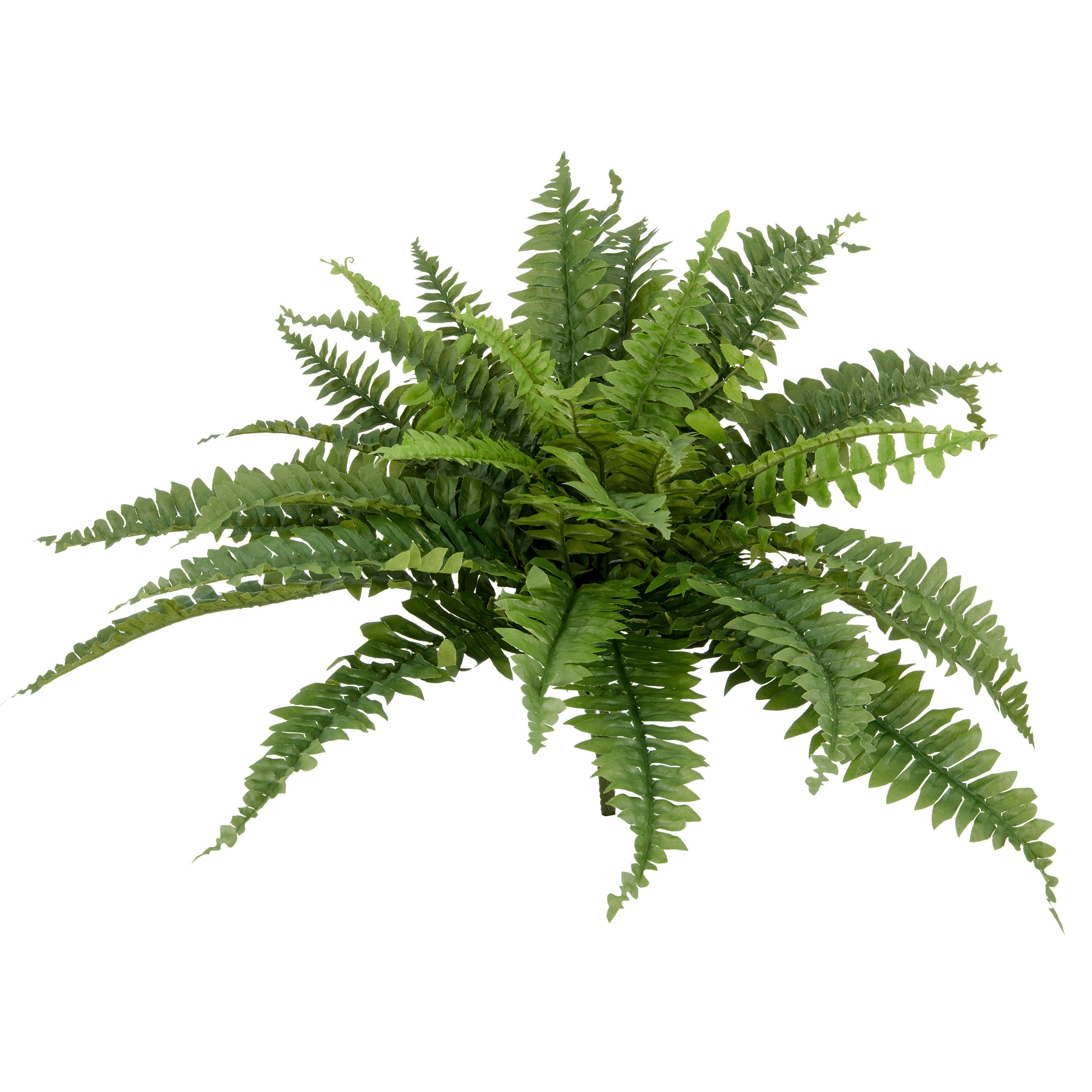KUNSTPFLANZE Farn  - Grün, Basics, Kunststoff (70cm) - P & B