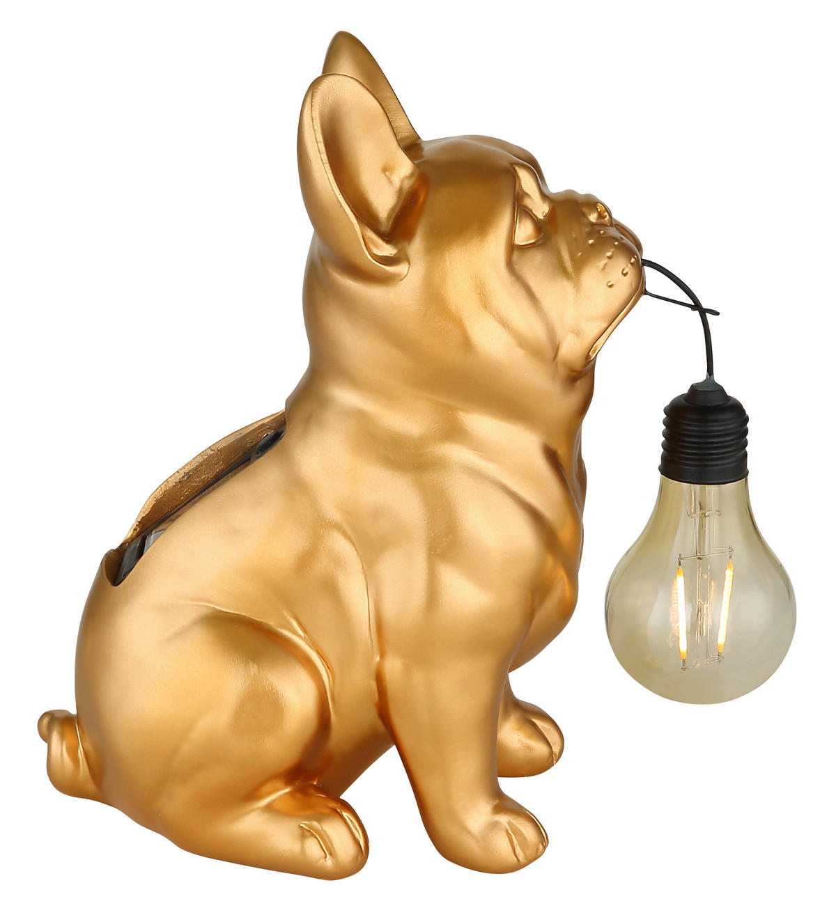 SOLARLEUCHTE Greenday 23/11,8/23,5 cm  - Goldfarben, Design, Kunststoff (23/11,8/23,5cm) - Globo