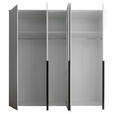 DREHTÜRENSCHRANK  in Weiß  - Schwarz/Weiß, MODERN, Glas/Holzwerkstoff (225/225/52cm) - Carryhome