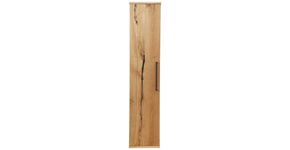 HOCHSCHRANK 35/165/37 cm  - Eichefarben/Anthrazit, Design, Glas/Holz (35/165/37cm) - Dieter Knoll