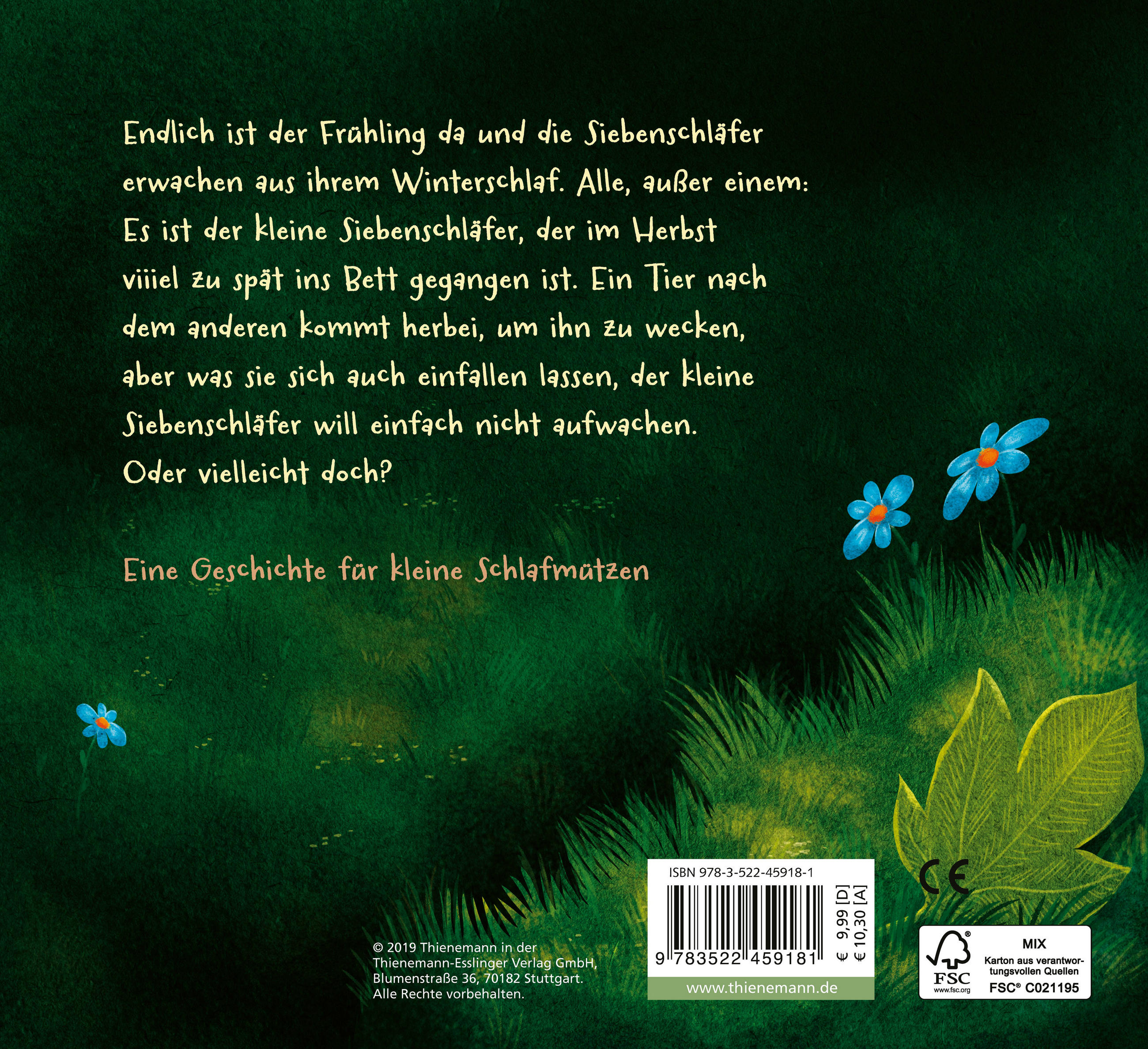 BILDERBUCH - Basics (17/20,7/2,1cm)