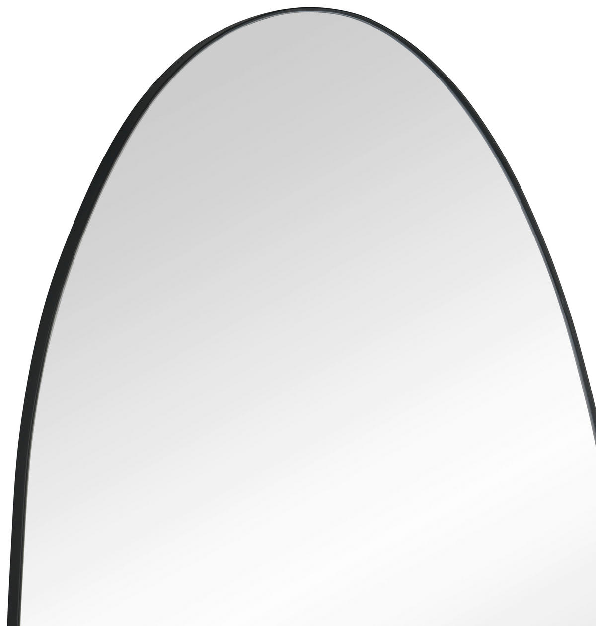 WANDGARDEROBE  in Schwarz  - Schwarz, MODERN, Glas/Metall (50/190/25cm)
