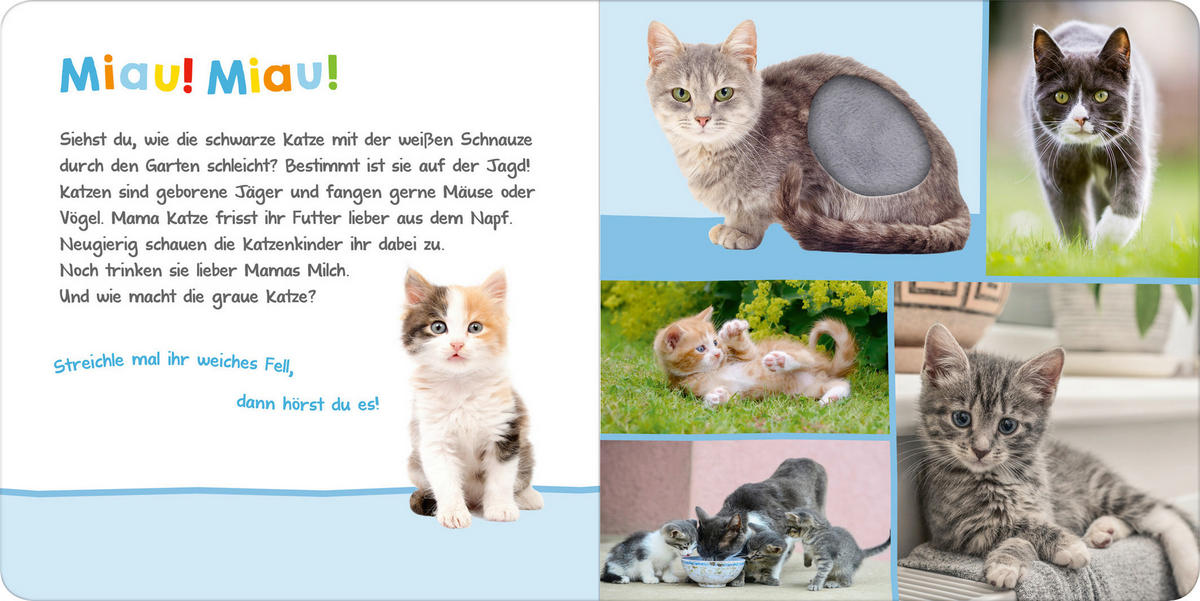 BUCH - Basics (19,6/19,6/2,4cm)