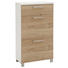 SCHUHSCHRANK 61/108/37 cm - Chromfarben/Eichefarben, Design, Holz/Holzwerkstoff (61/108/37cm) - Dieter Knoll SCHUHSCHRANK 61/108/37 cm - Chromfarben/Eichefarben, Design, Holz/Holzwerkstoff (61/108/37cm) - Dieter Knoll