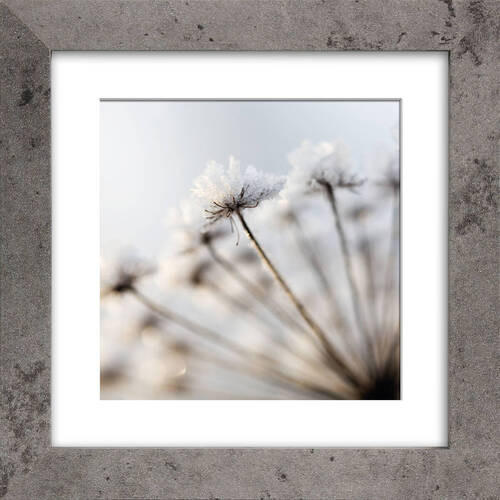 BILDERRAHMEN - Basics (14,6/14,6/1,6cm)