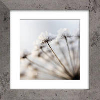 BILDERRAHMEN - Basics (14,6/14,6/1,6cm)