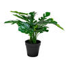 KONSTVÄXT monstera  - grön, Design (40/45/40cm)