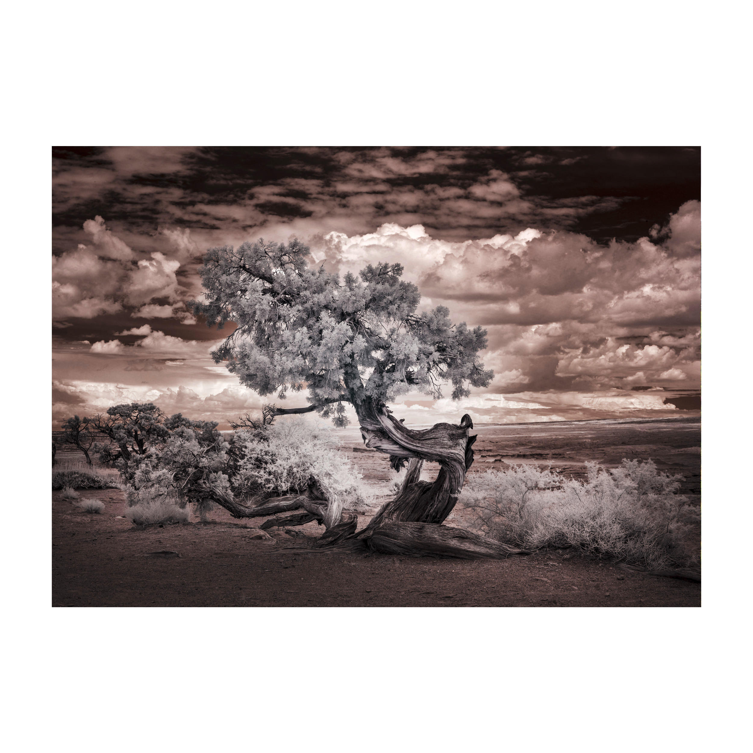Monee Glasbild Mehrfarbig 120x80 cm