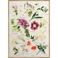 UMELECKÁ TLAČ, kvety, 51,2/71,2 cm  - viacfarebná/farba duba, Basics, kompozitné drevo/papier (51,2/71,2cm) - Monee