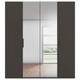 DREHTÜRENSCHRANK 201/223/61 cm,  in Graphitfarben, 4-türig  - Graphitfarben, Basics, Glas/Holzwerkstoff (201/223/61cm) - Novel