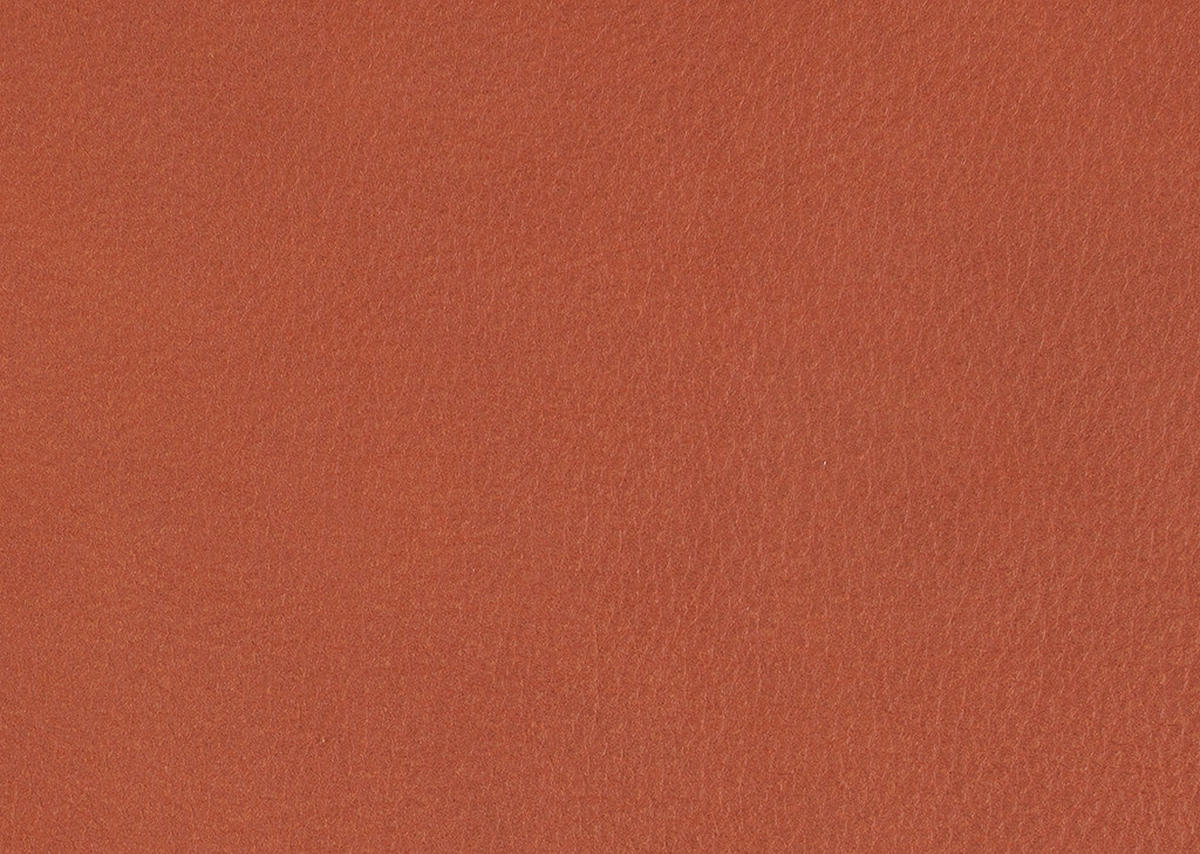 ECKSOFA in Echtleder Orange  - Schwarz/Orange, Design, Leder/Metall (210/130cm) - Dieter Knoll