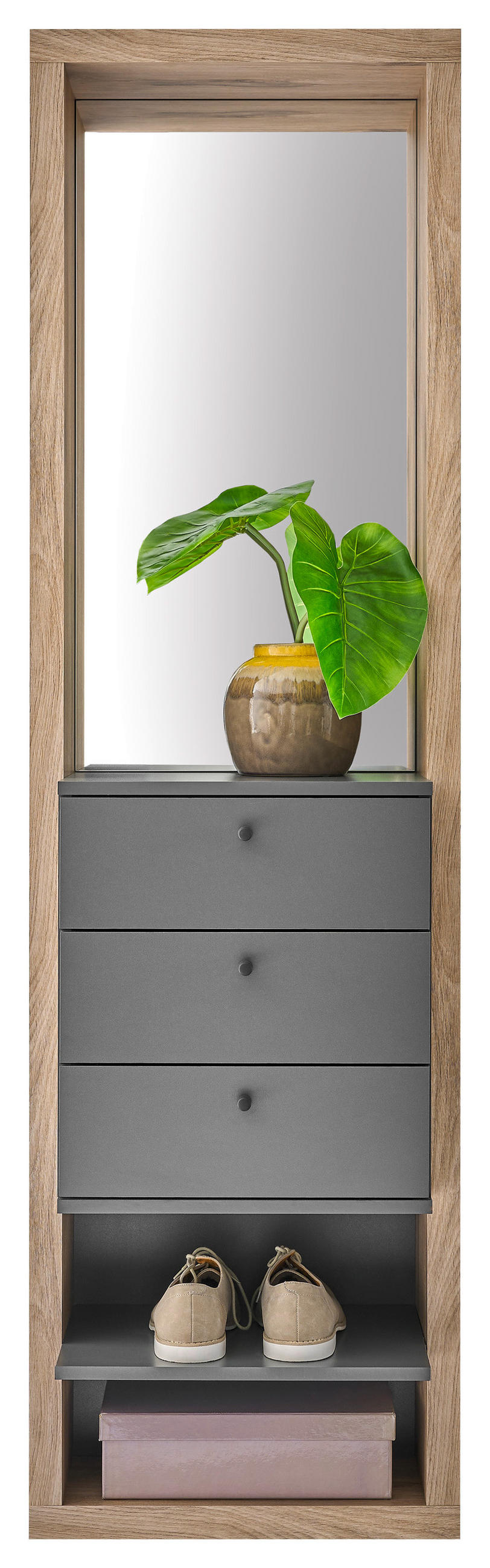 PREDSOBLJE  antracit, boje hrasta  - boje hrasta/antracit, Basics, staklo/drvni materijal (51/178/35cm) - Carryhome