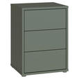 NACHTSCHRANK 50/69/42 cm  - Salbeigrün/Silberfarben, Trend, Holzwerkstoff/Kunststoff (50/69/42cm) - Carryhome