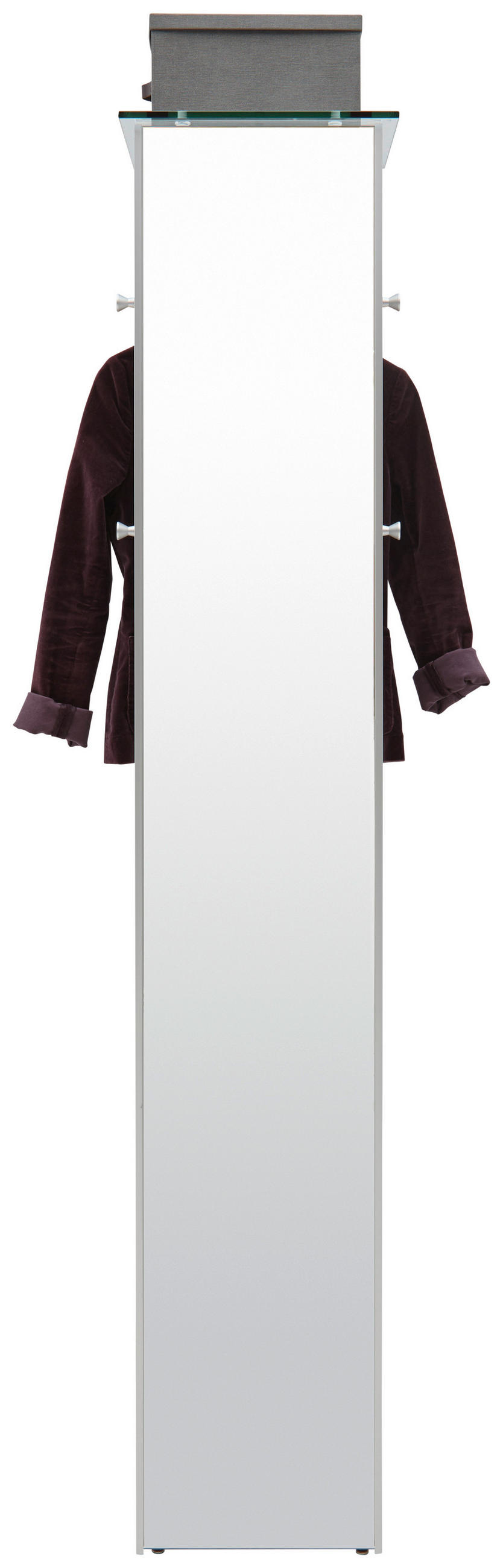 GARDEROBENPANEEL 37/189/36 cm  - Alufarben, Design, Glas/Metall (37/189/36cm) - Dieter Knoll