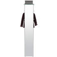 GARDEROBENPANEEL  in 37/189/36 cm  - Alufarben, Design, Glas/Metall (37/189/36cm) - Dieter Knoll