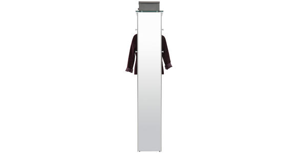 GARDEROBENPANEEL  in 37/189/36 cm  - Alufarben, Design, Glas/Metall (37/189/36cm) - Dieter Knoll